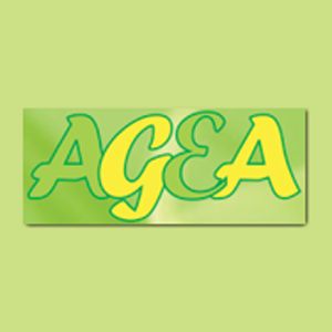 AGEA Bookkeeping and Accounting Services - Logo