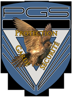 Agence P.G.S. - Logo