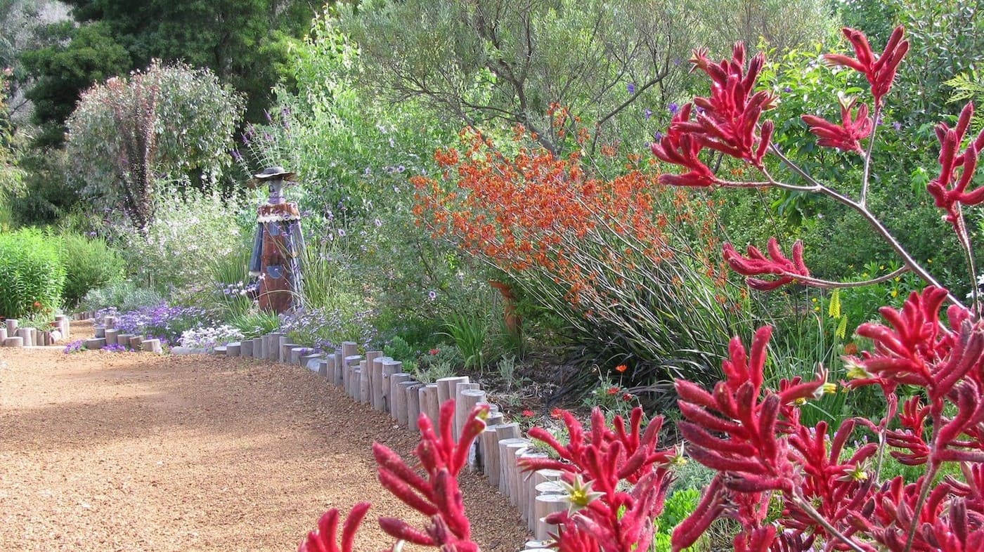 Aggregata Plants & Gardens - Cover photo
