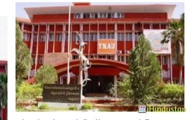 Agricultural College and Research Institute - Logo