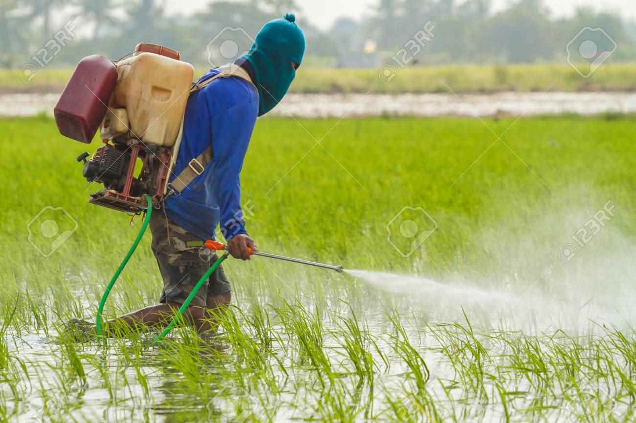 Agro Biotech - Cover photo