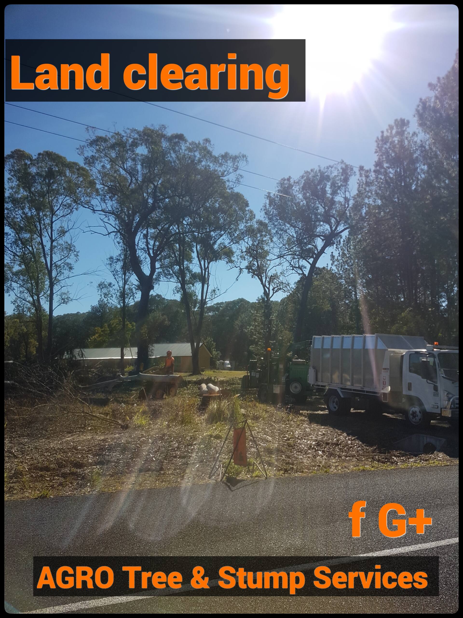 Agro Tree & Stump Services - Cover photo