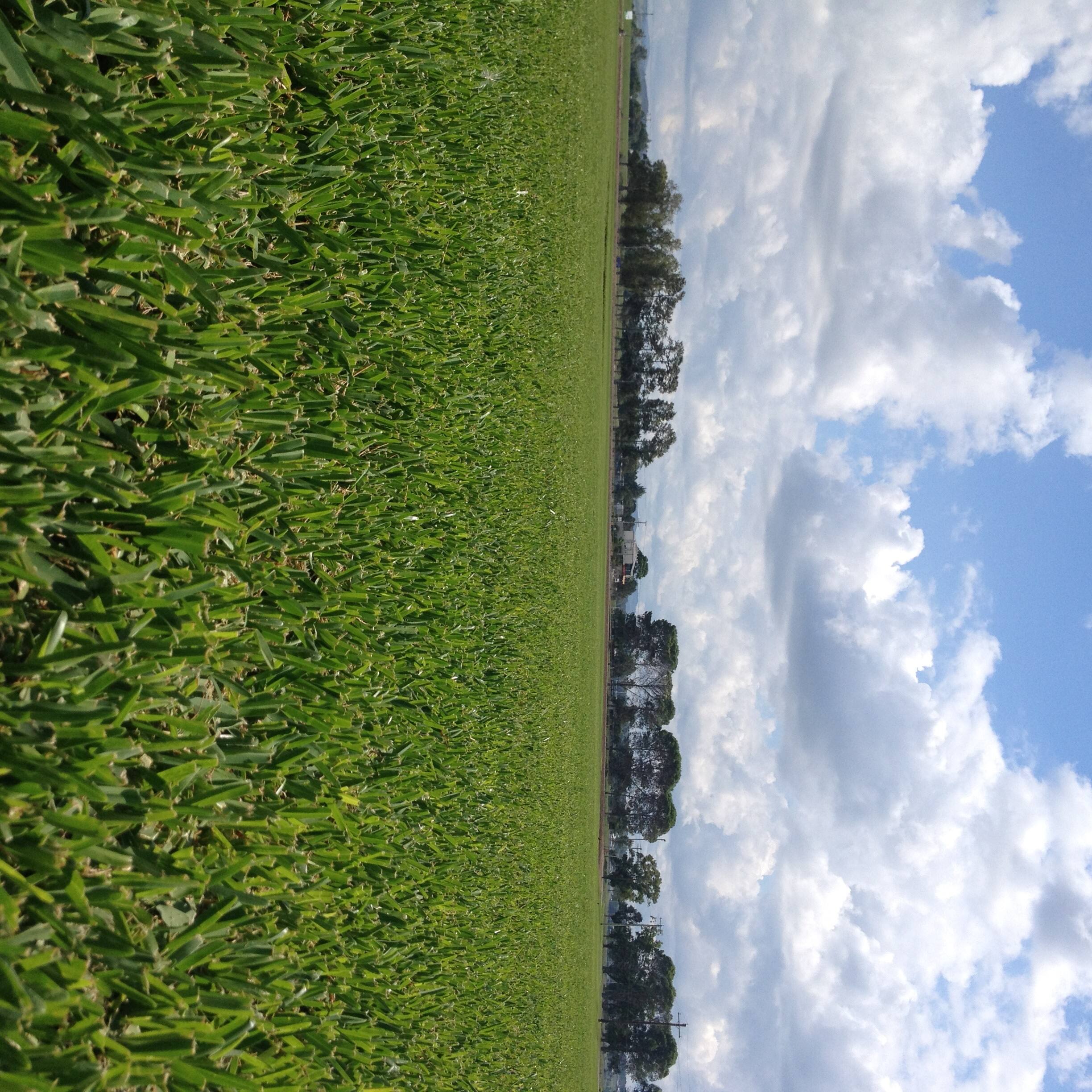 Agturf Supplies - Cover photo