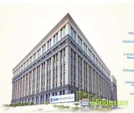 AIG Hospitals - Logo