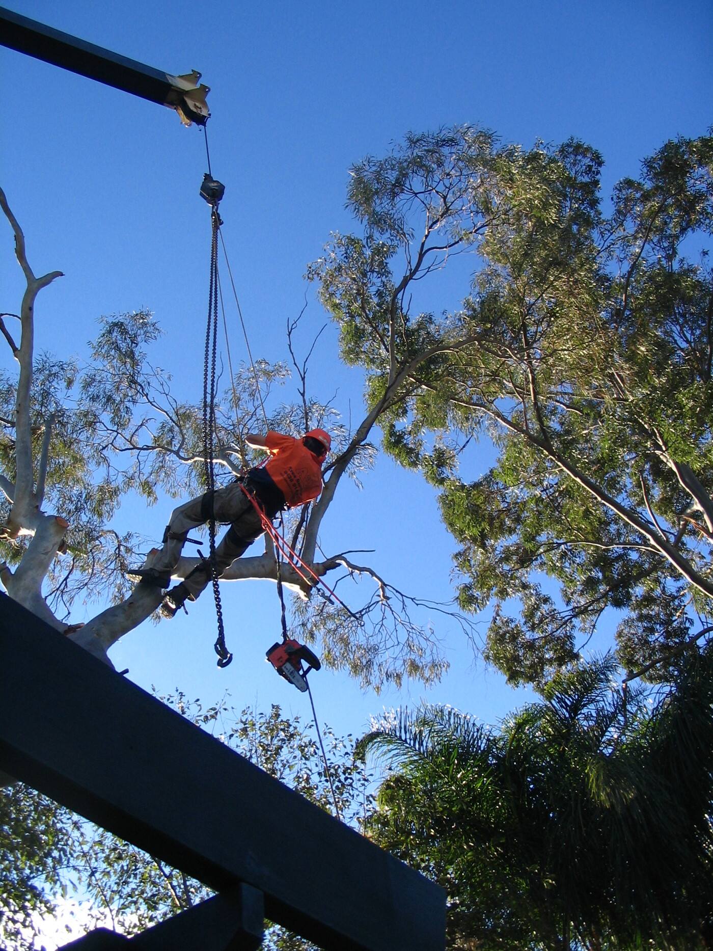A & J Tree Services - Logo