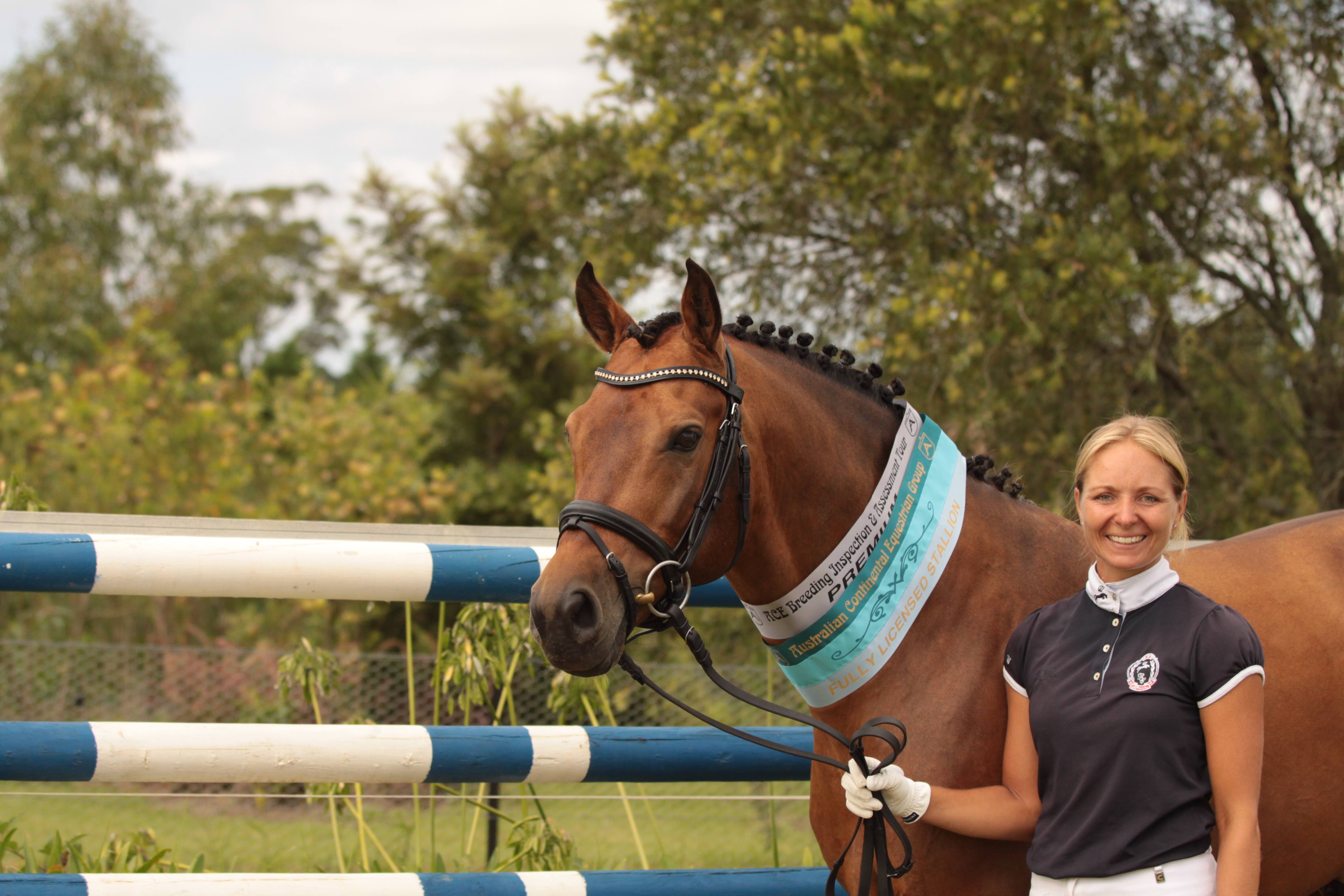 AKL German Riding Ponies - Logo