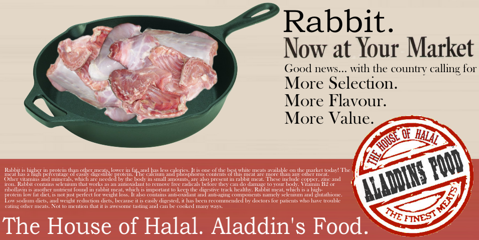 Aladdin&s;s Foods - Logo