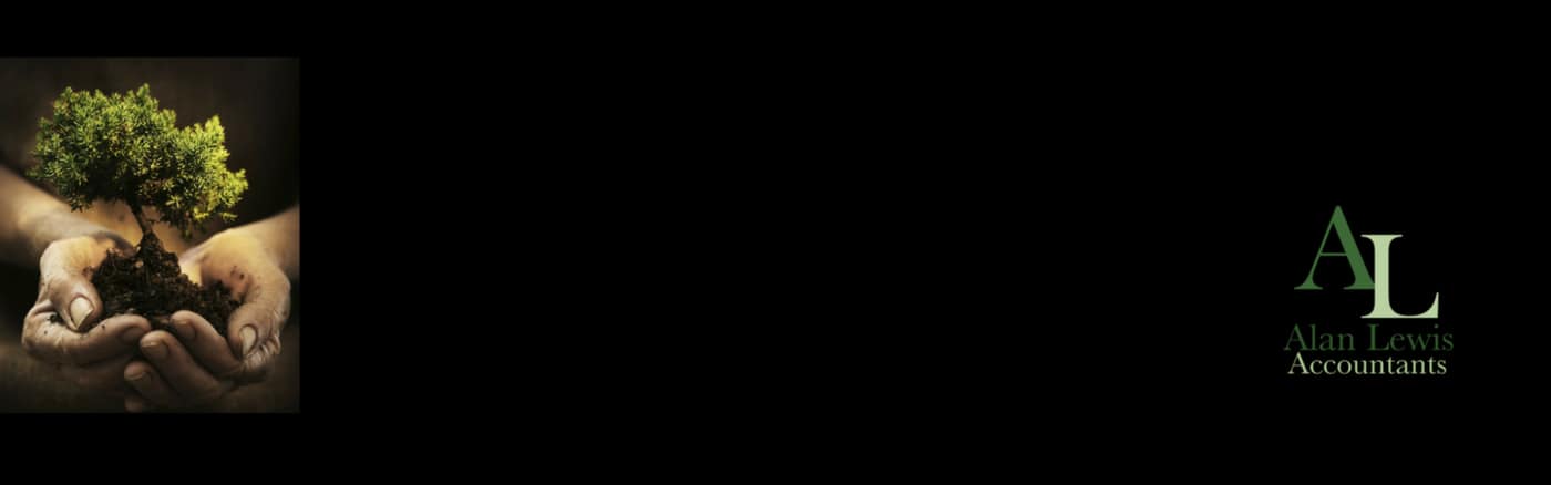 Alan Lewis Accountants - Logo