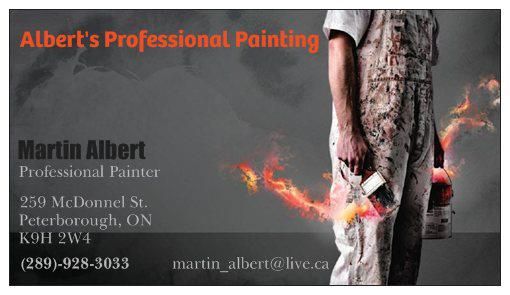 Albert&s;s Professional Painting - Logo