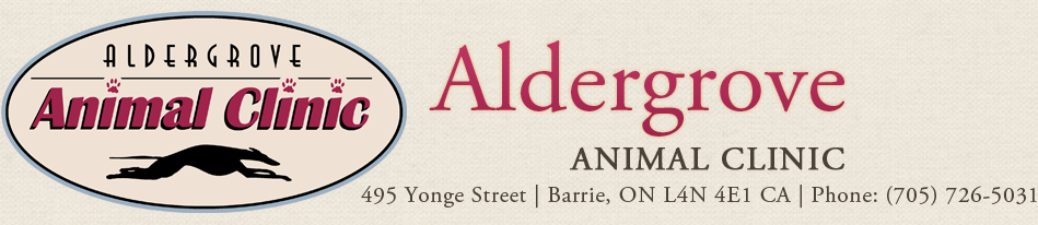 Aldergrove Animal Clinic - Logo