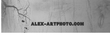 Alex-Artphoto - Logo