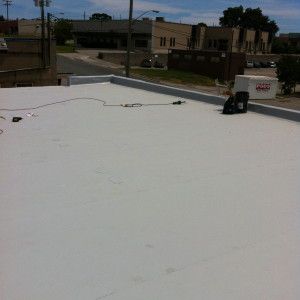 Alexim Roofing - Logo