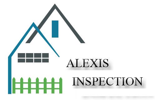 Alexis Inspection - Logo