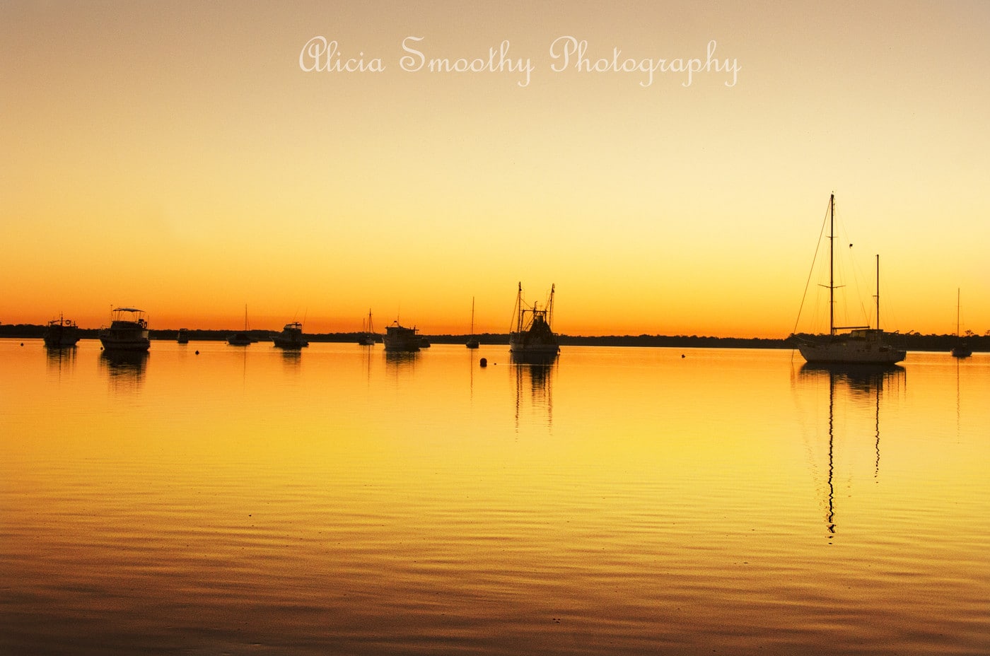 Alicia Smoothy Photography - Cover photo