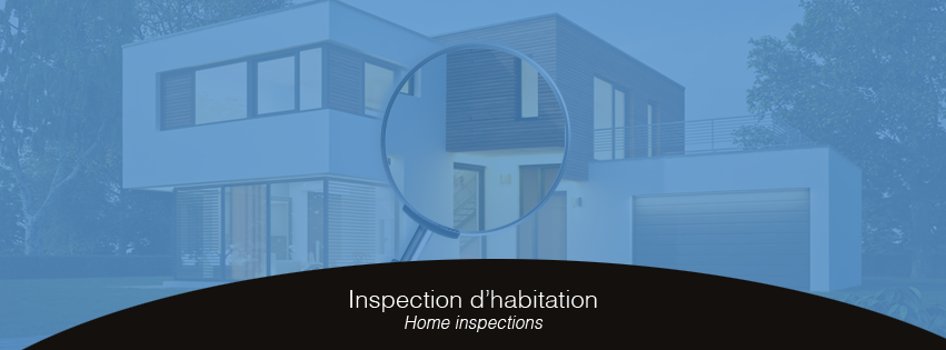 AL Inspection - Logo