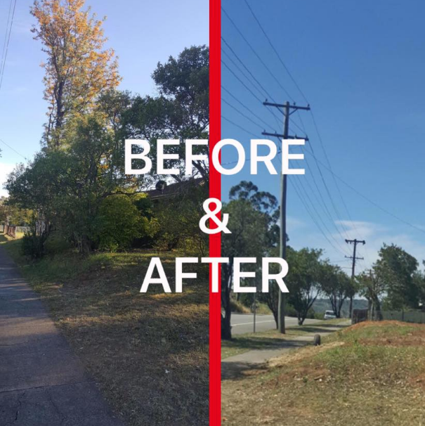 All Arbor Tree Services - Cover photo