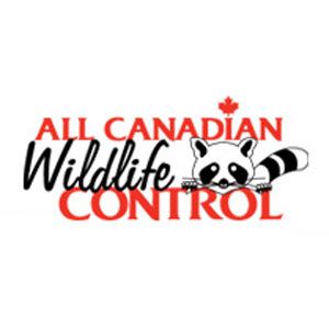 All Canadian Wildlife Control - Logo