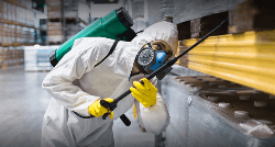 ALL CLEAR PEST CONTROL SERVICES (INDIA) - Logo