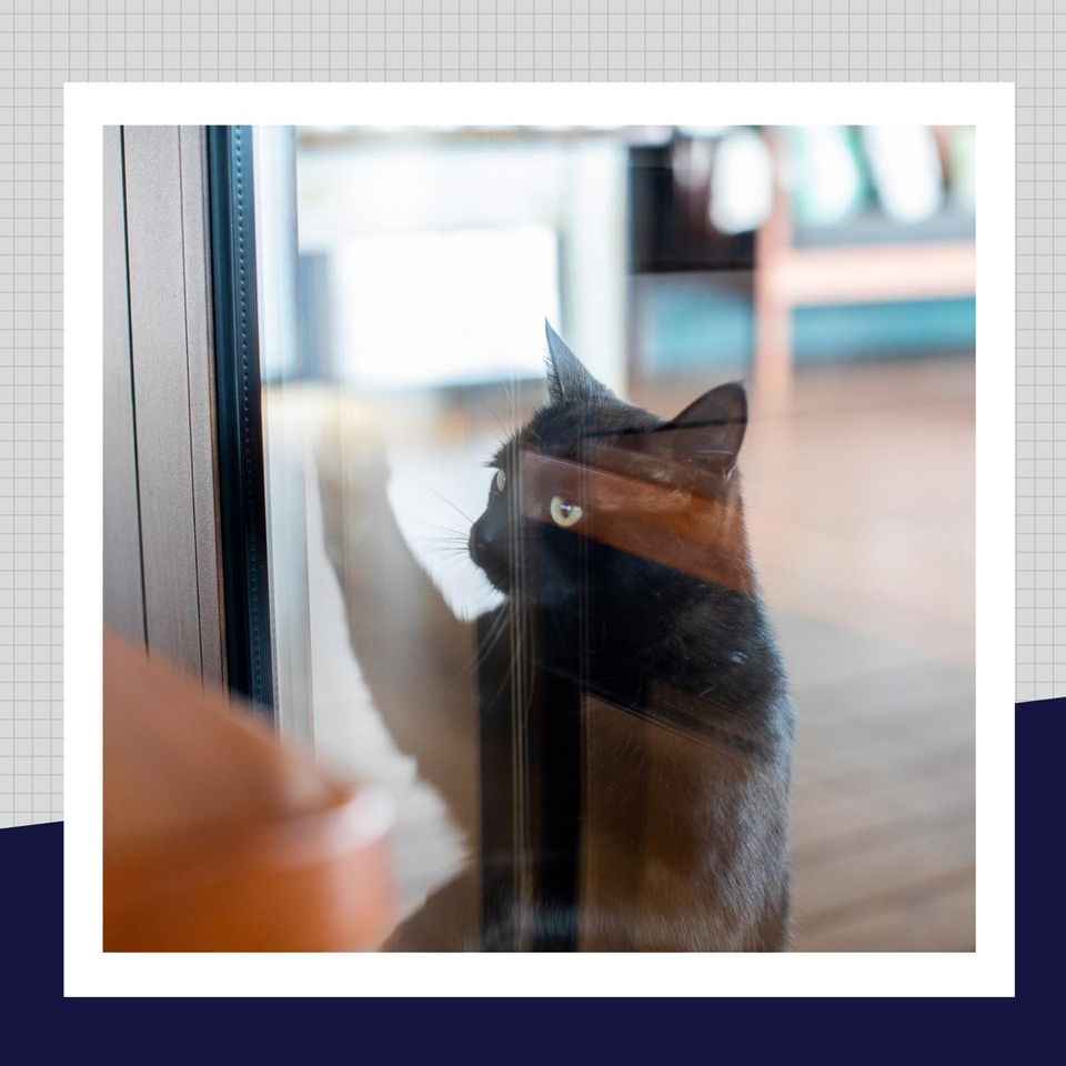 AllGlass Wagga - Cover photo