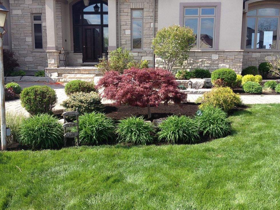 All In One Landscaping - Cover photo
