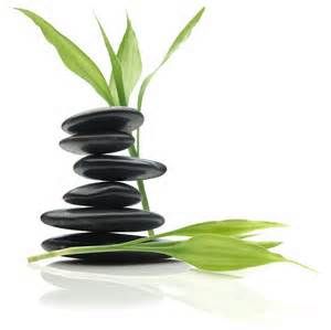 Allison&s;s Health &a; Wellness Center - Logo