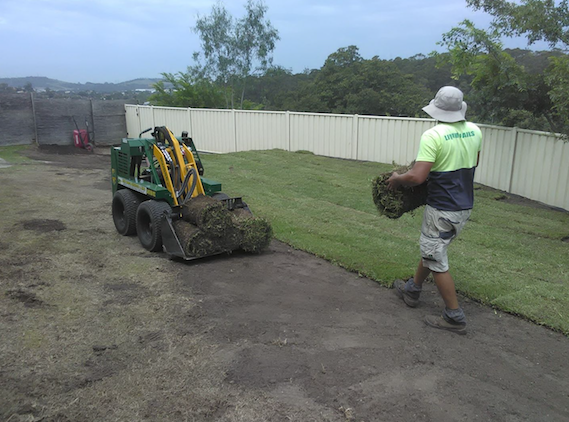 All Lawn & Property Maintenance Services Wollongong - Cover photo