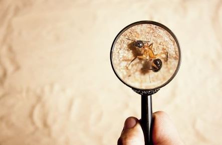 All Max Force Pest Management - Cover photo