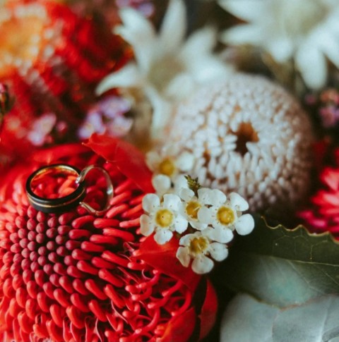 All Occasion Flowers - Logo