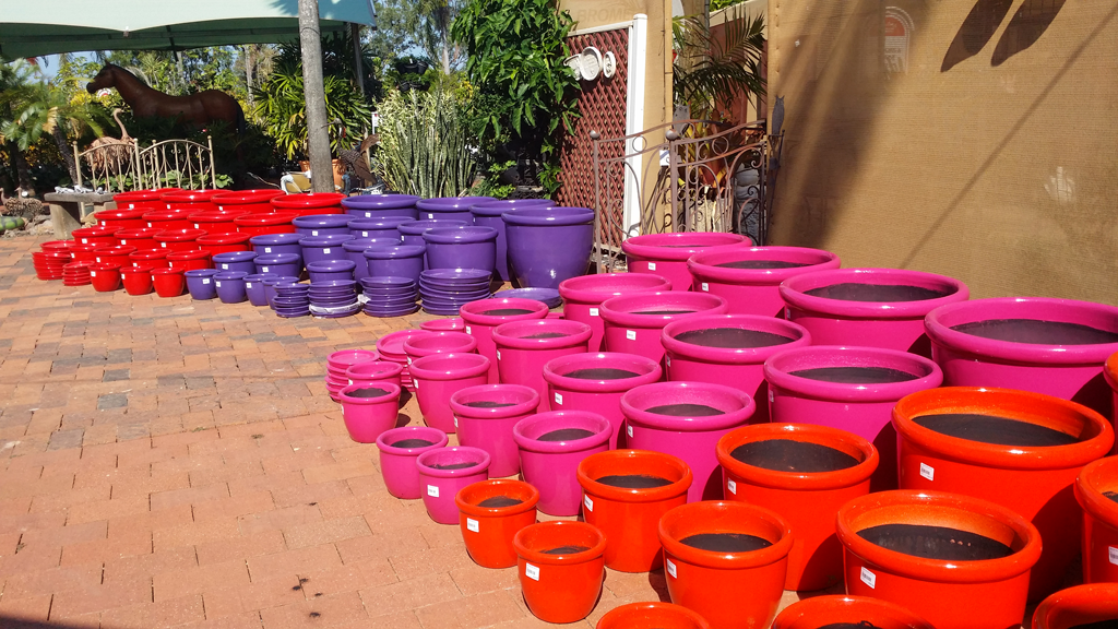 Allora Gardens Nursery - Logo