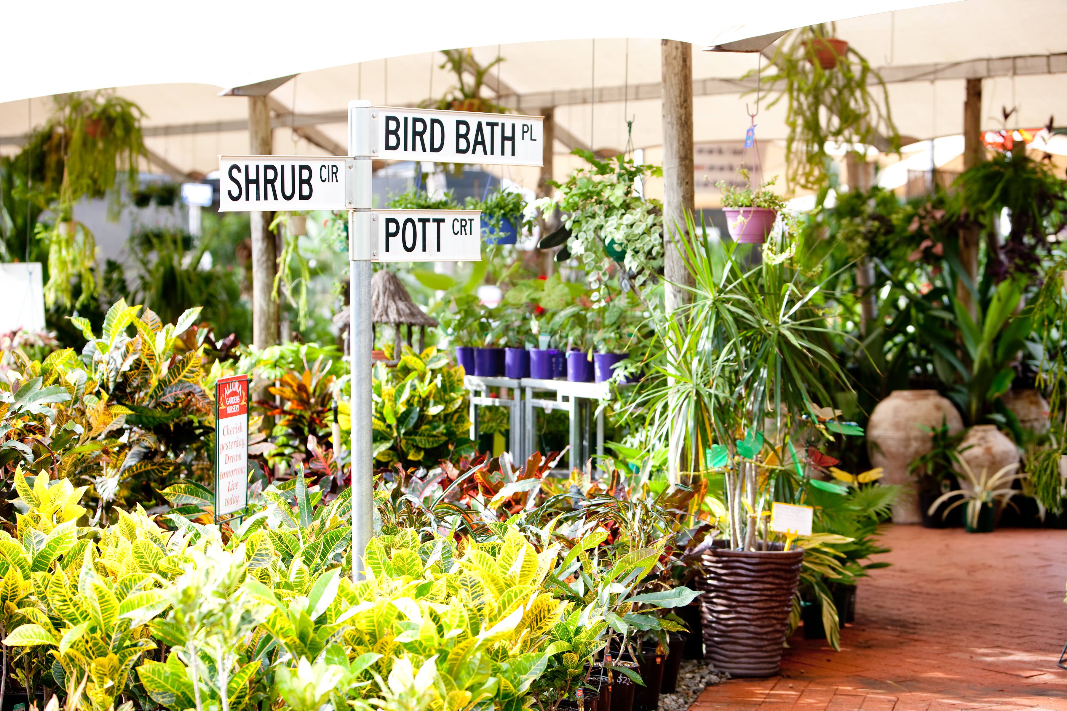 Allora Gardens Nursery - Logo