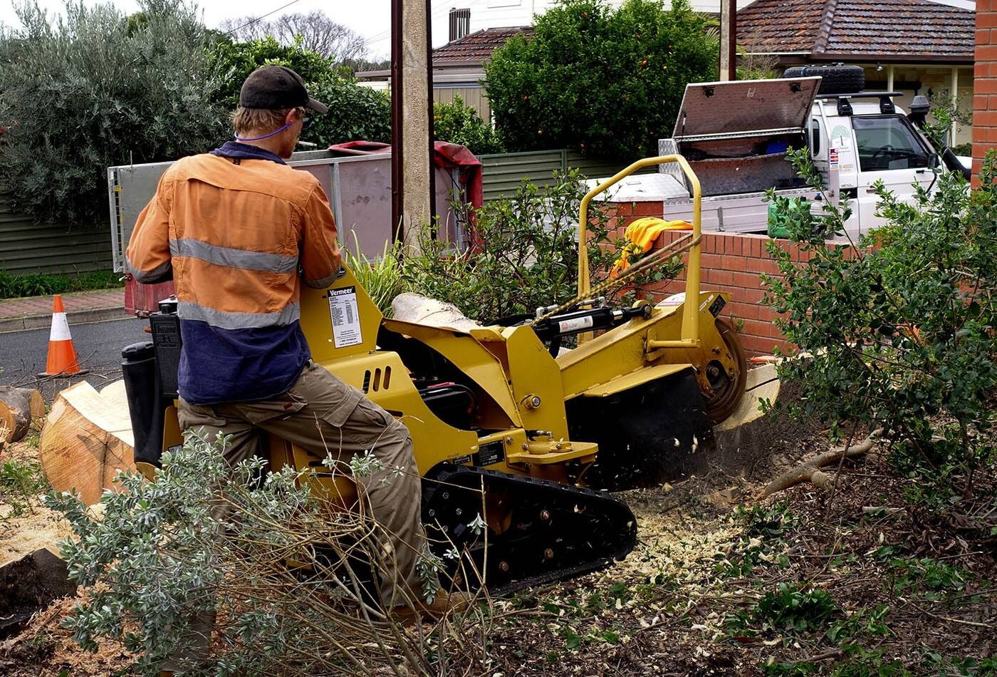 All Purpose Tree Services - Cover photo