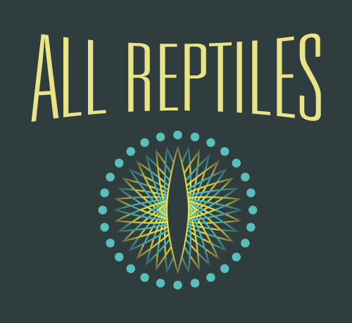 All Reptiles - Cover photo