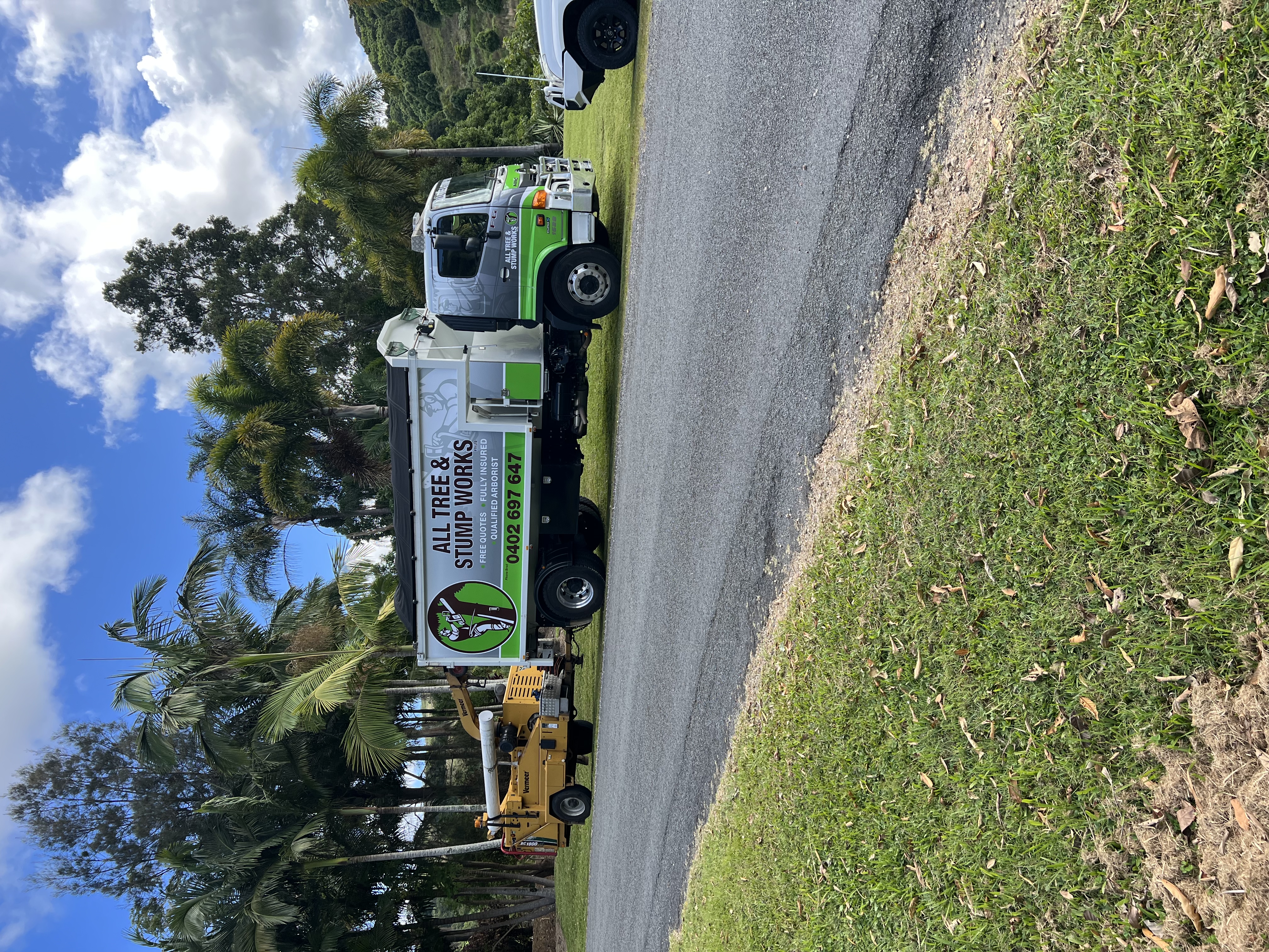 All Tree and Stump Works - Cover photo