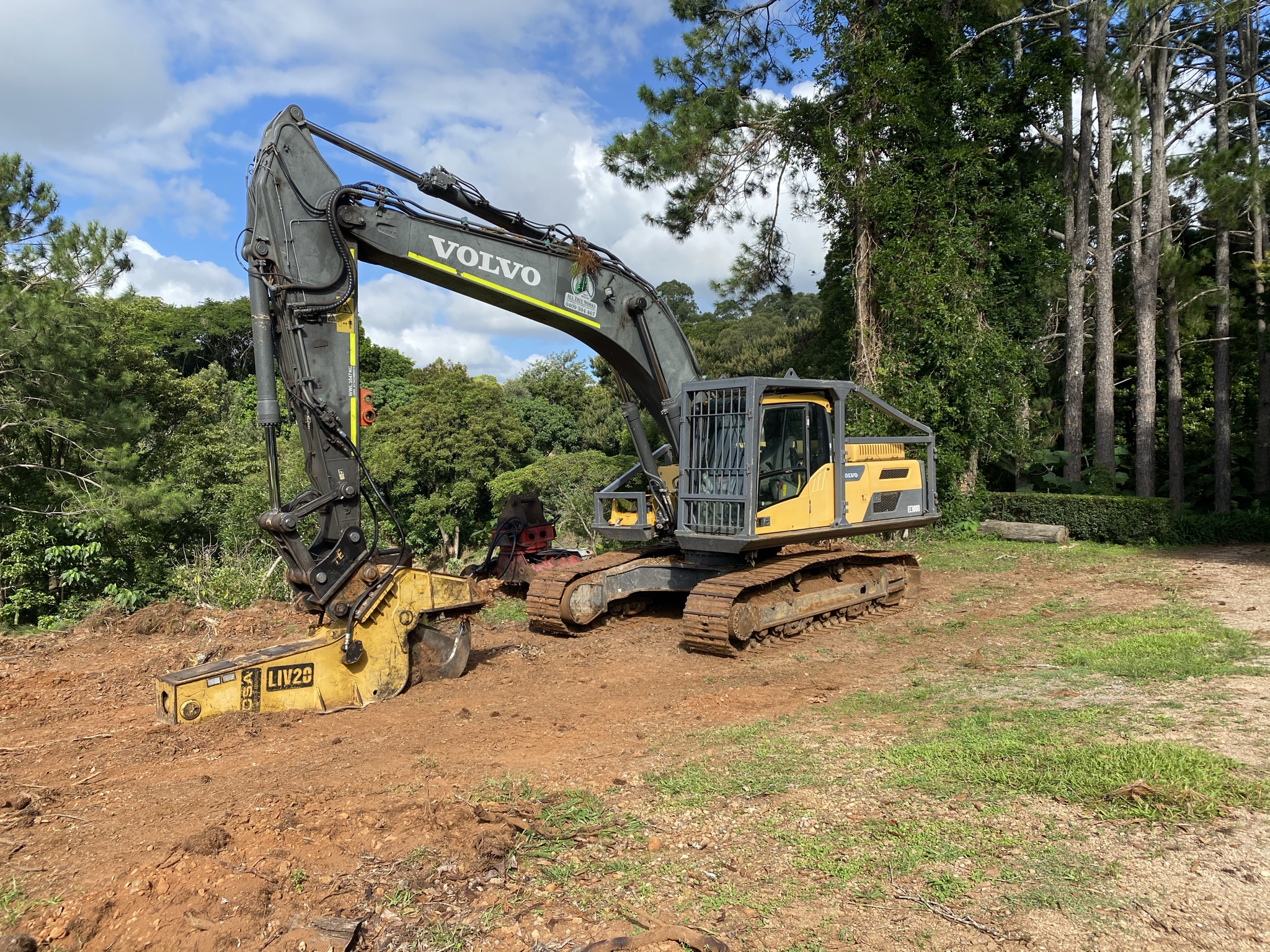 All Tree Works - Cover photo