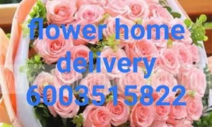 Almond Flower - Cover photo
