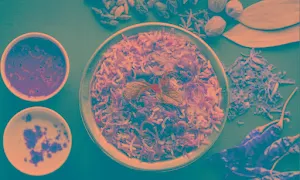 Alpha - House of Biryani & Tandoor - Logo