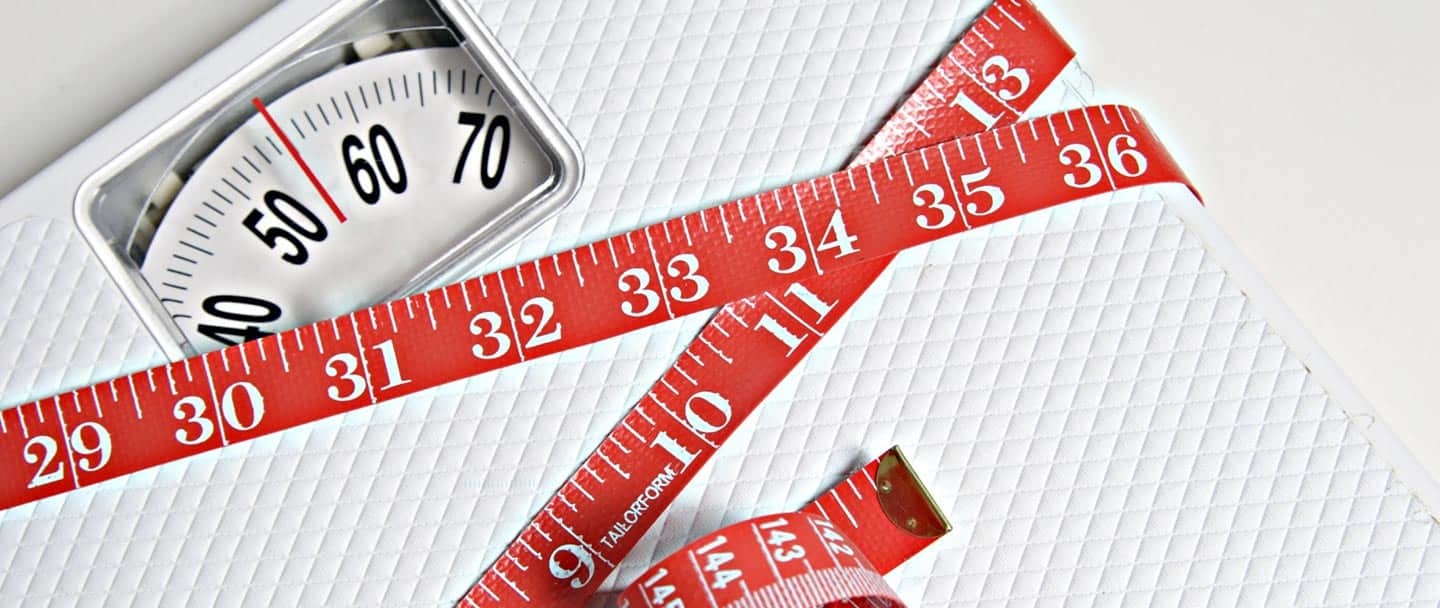Alpha Shape Australia - Cover photo