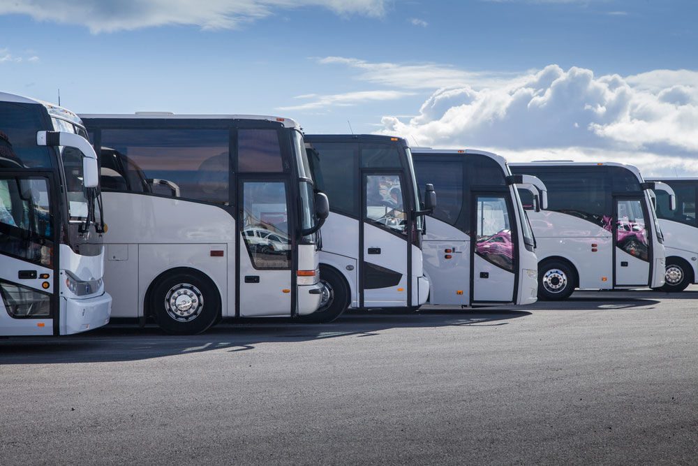 Alstonville Bus Service - Logo