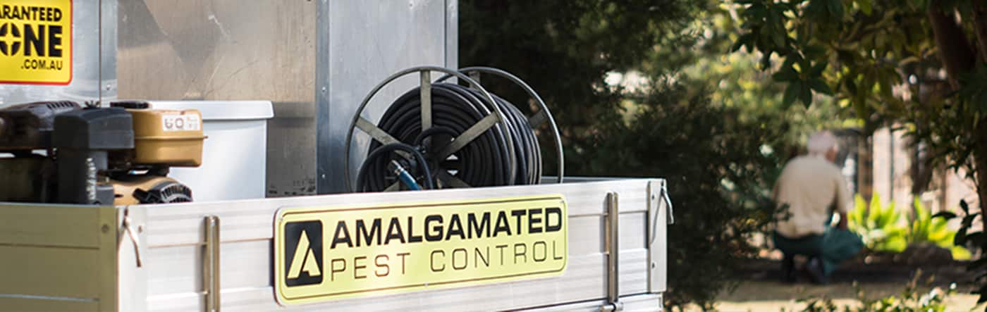 Amalgamated Pest Control Bowen - Logo