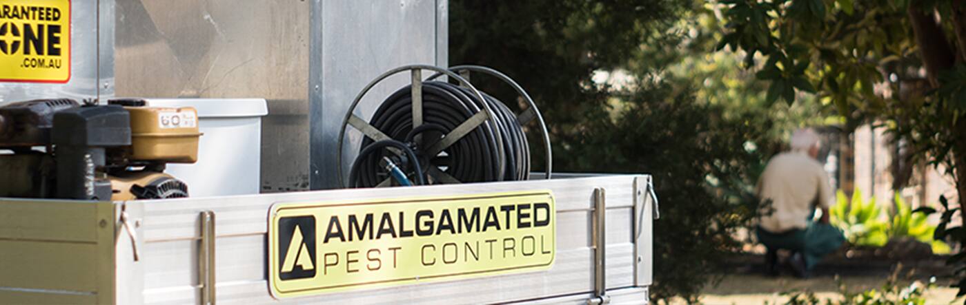 Amalgamated Pest Control - Cover photo