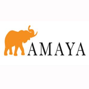 Amaya Express Leslieville - Logo