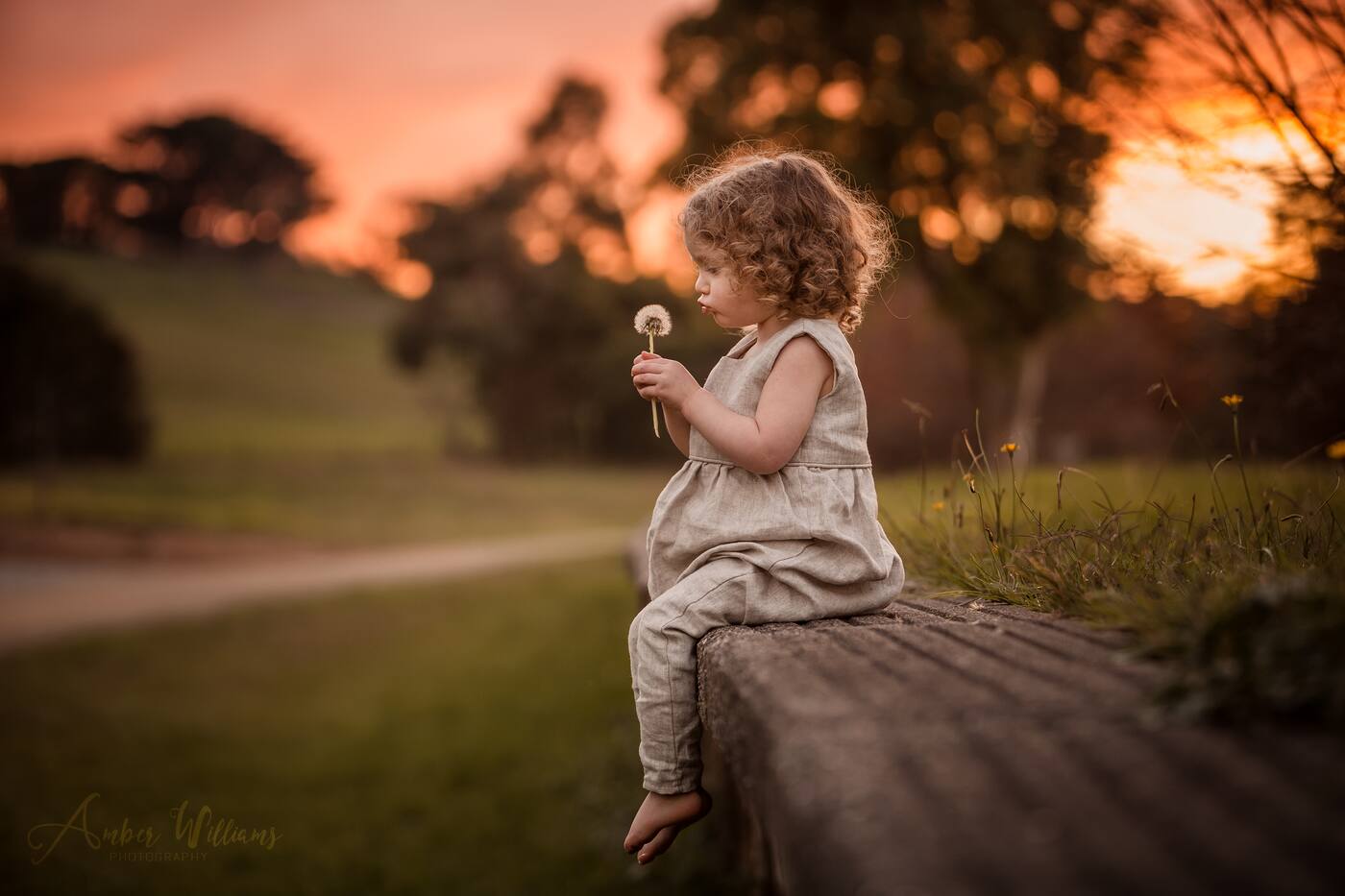Amber Williams Photography - Cover photo
