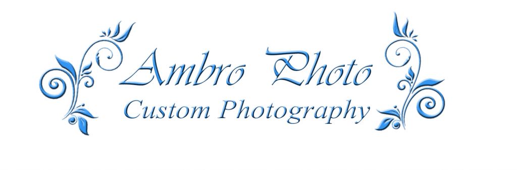 Ambro Photo Custom Photography - Logo