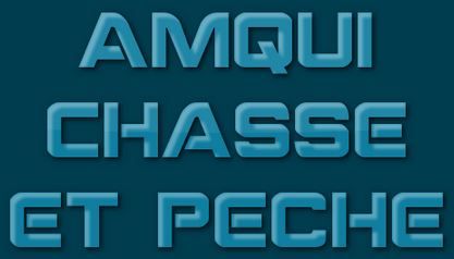 Amqui Chasse Et Peche - Logo