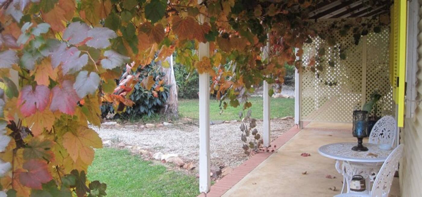 Amy's House - Cover photo