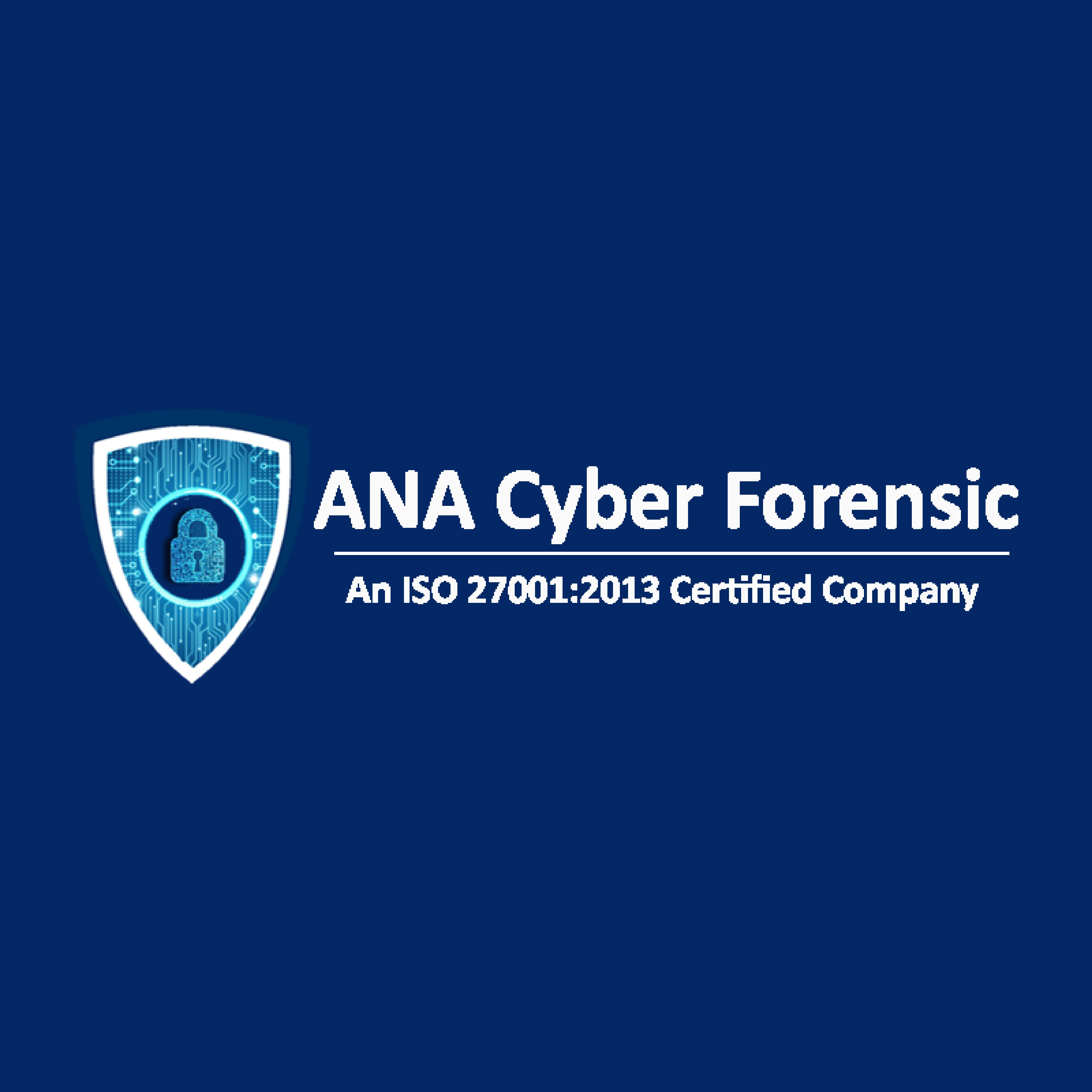 ANA Cyber Forensic Pvt. Ltd. - Logo