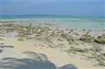 Andaman Tour And Travel - Logo