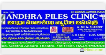Andhra Piles - Logo