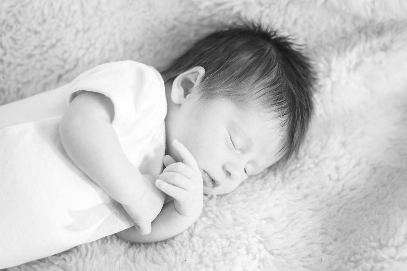 Andrea Windley Photography - Logo