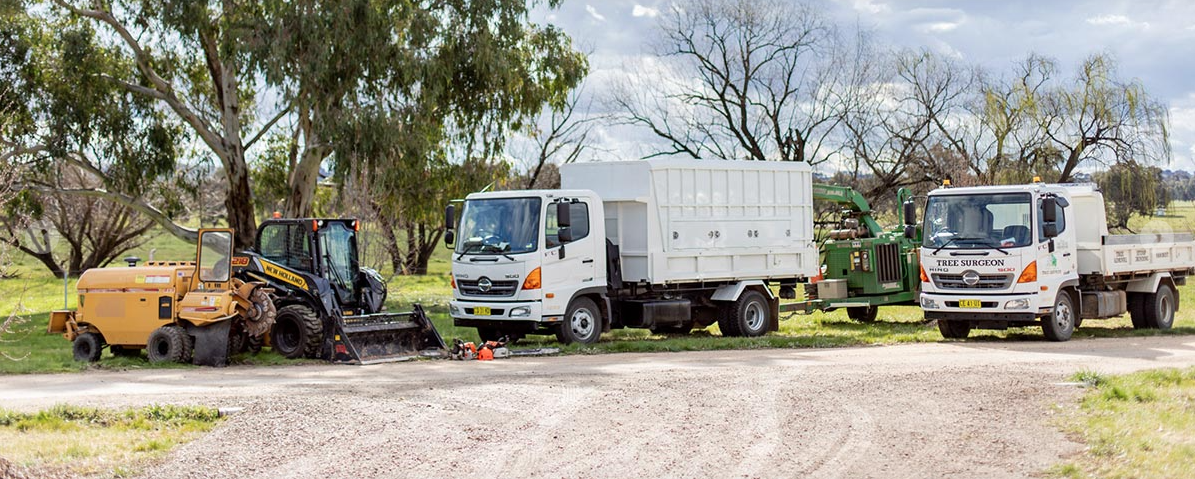 Andrew Hamilton Tree Services - Cover photo